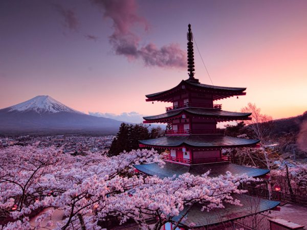 Wonderful Japan Tour 2023